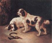 Brittany Spaniels George Horlor
